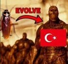 Turkroach.jpg