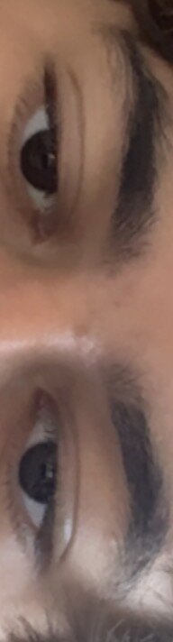 IMG_2600.jpeg