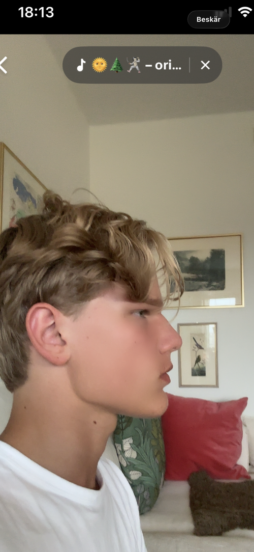 IMG 1048