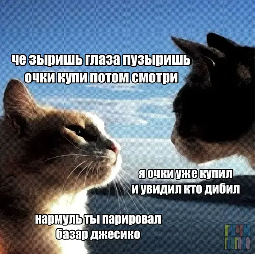 absyrdasf_2026-08-14-16-00-00_1786698000543.webp