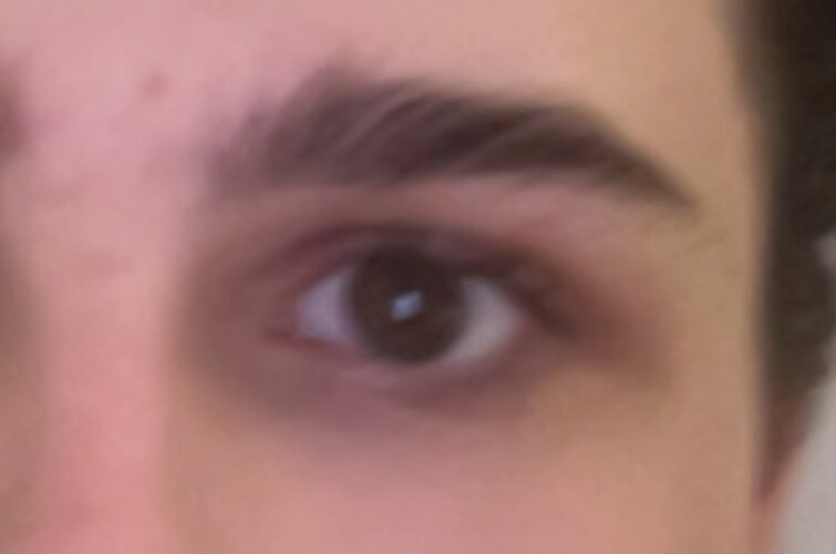 IMG_1482.jpeg