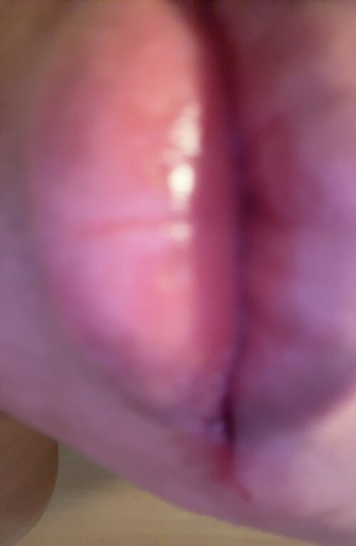 IMG_5024.jpeg