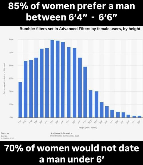 is-height-the-most-important-feature-v0-g5d25h61kgrd1.jpeg