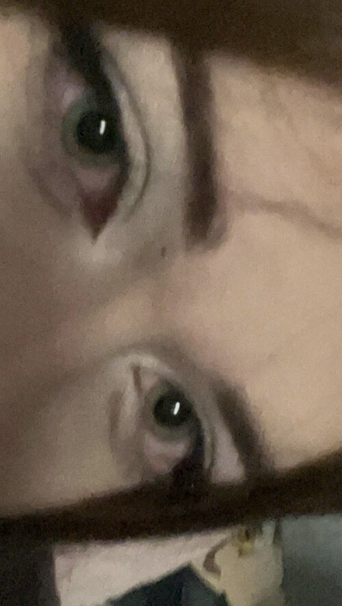 IMG 1810