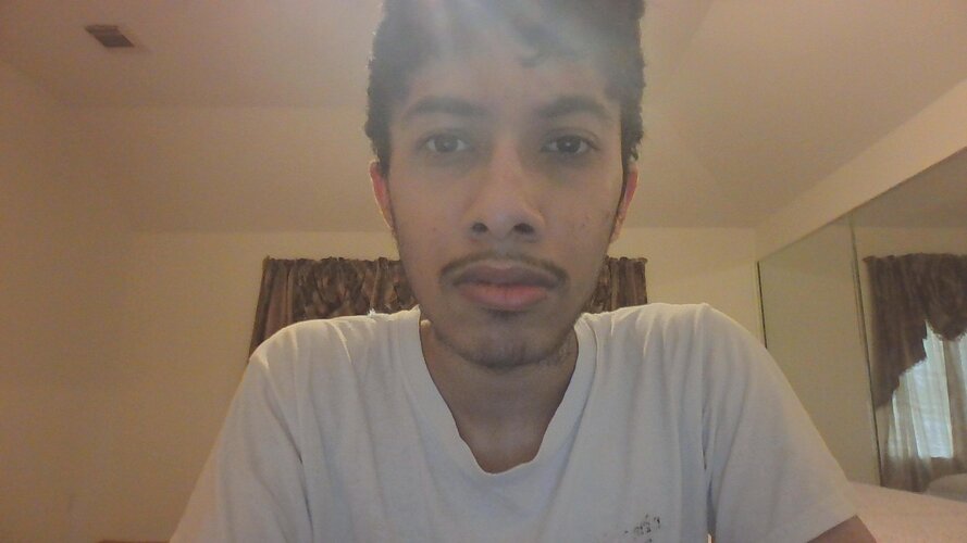 chopped 3 months ago 2.jpeg