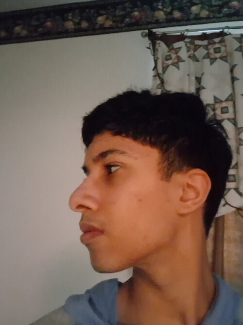 4979.jpg