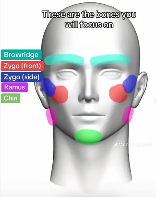 temp_image_27994360-A1B1-4458-B87E-194686DE8BA7.webp