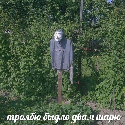IMG_5367.jpeg