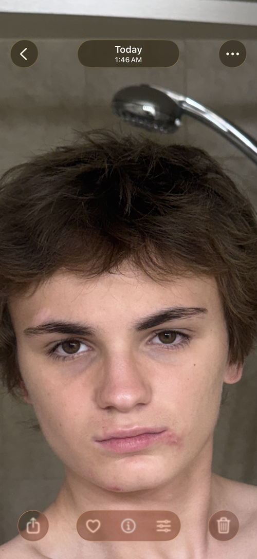 IMG_3451.png