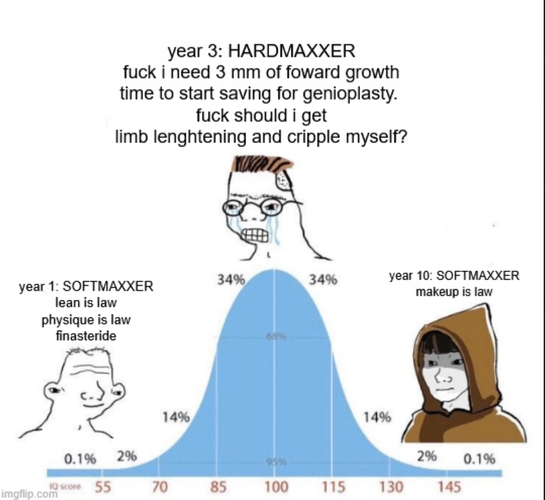 librewolf_(PNG_Image,_541 × 500_pixels)_—_LibreWolf_ud01bI.png