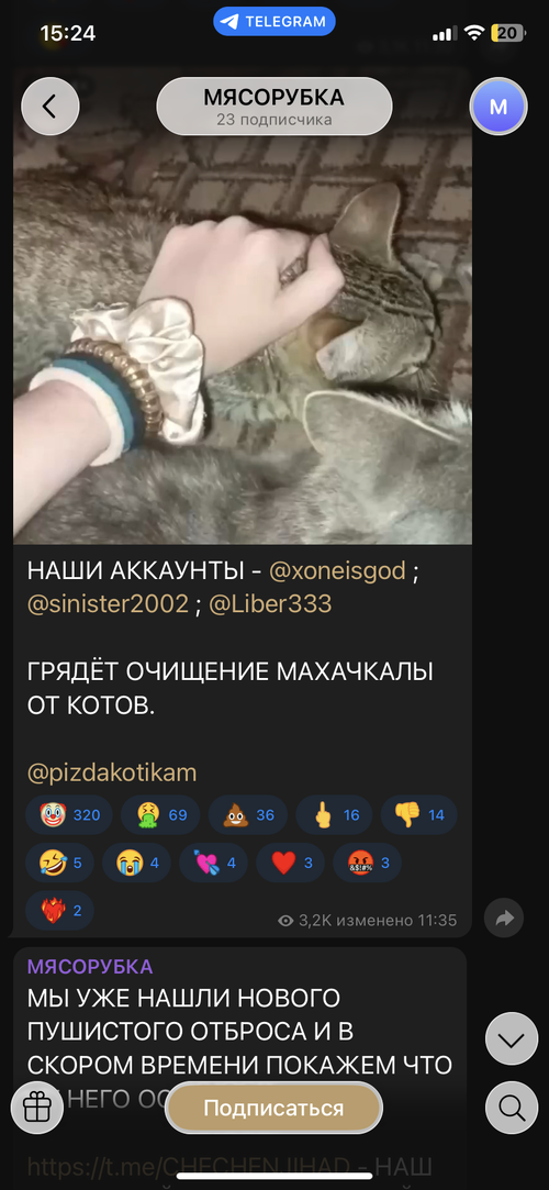 IMG_5423.png