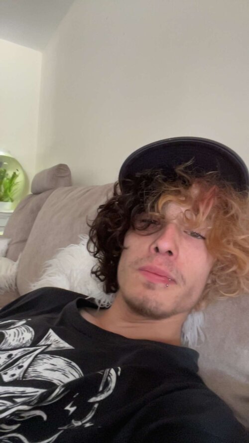 48703.jpg