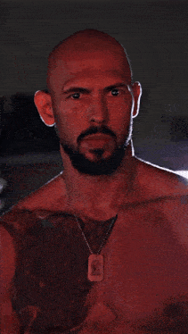 andrew hate.gif