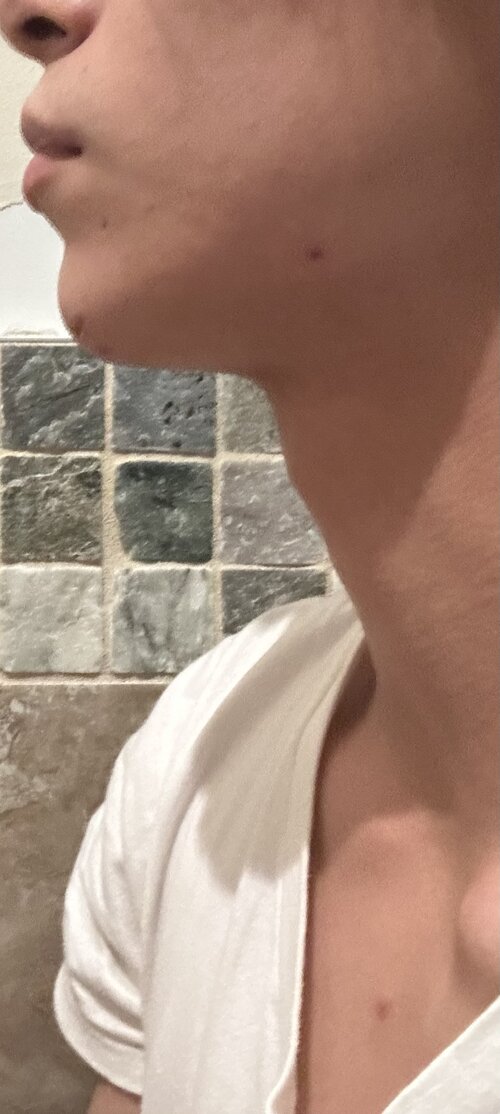 IMG_6827.jpeg