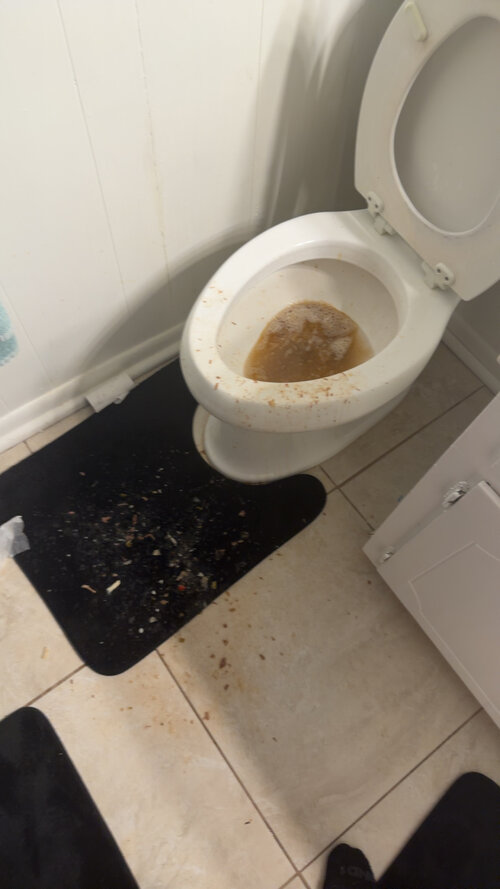 IMG_2801.jpeg