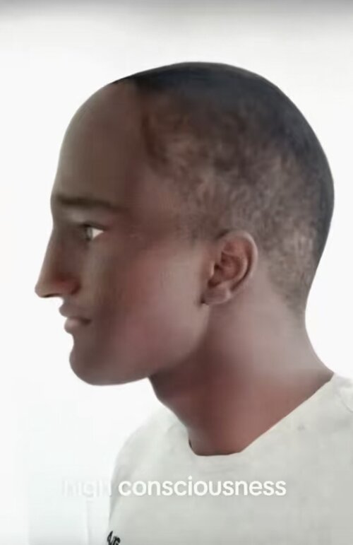 Screenshot_20260824_225229_TikTok.jpg