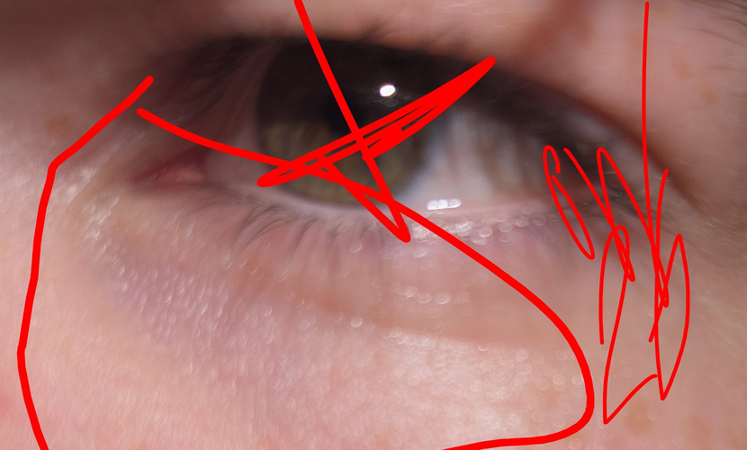 1787706229479.png