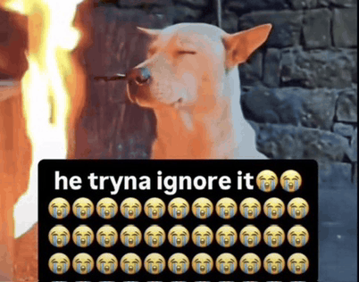 He tryna ignore it twitter