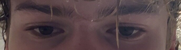 IMG_2954.jpeg