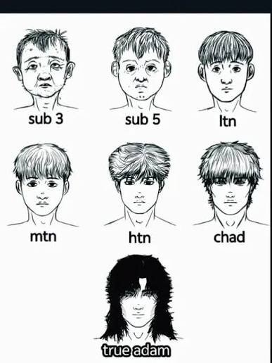 images (64).jpeg
