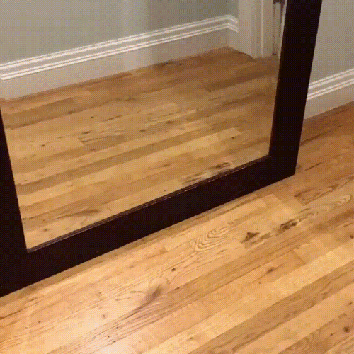 Giphy