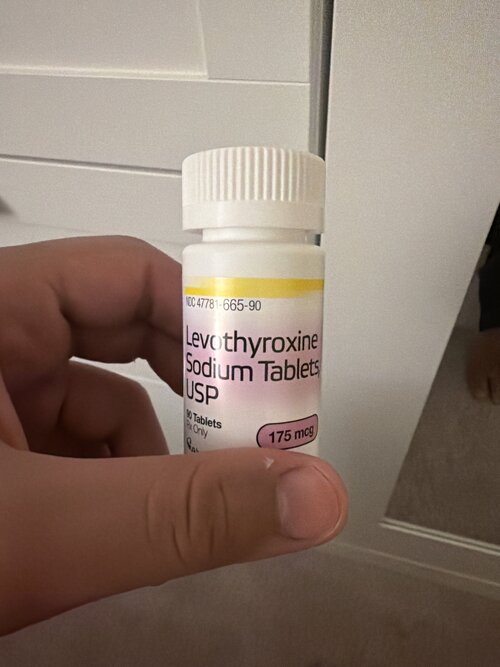 image.jpg