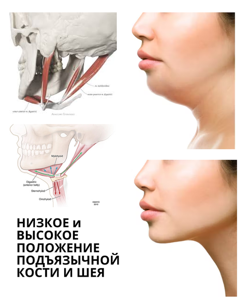 6f57ee_d64e3755c3f649eead5f53223800ab61~mv2.png