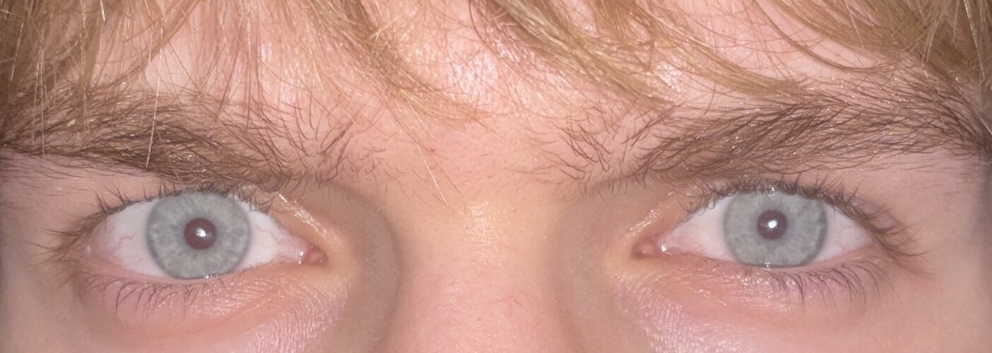 IMG_4292.jpeg