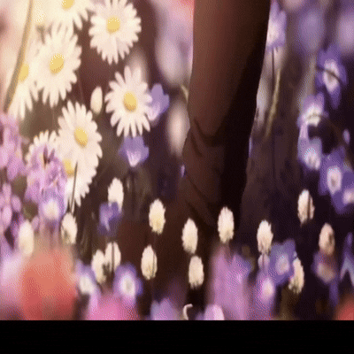 Video Project 2