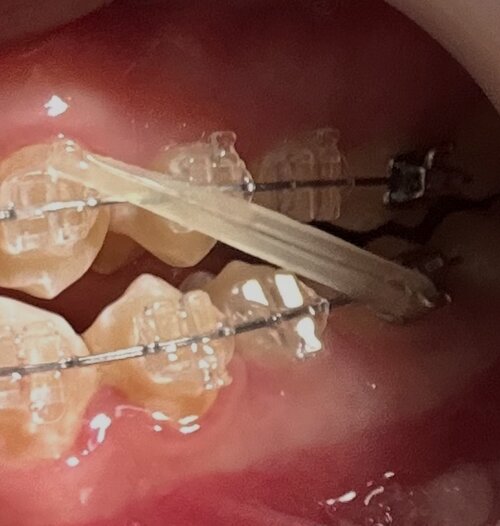 IMG_8599.jpeg