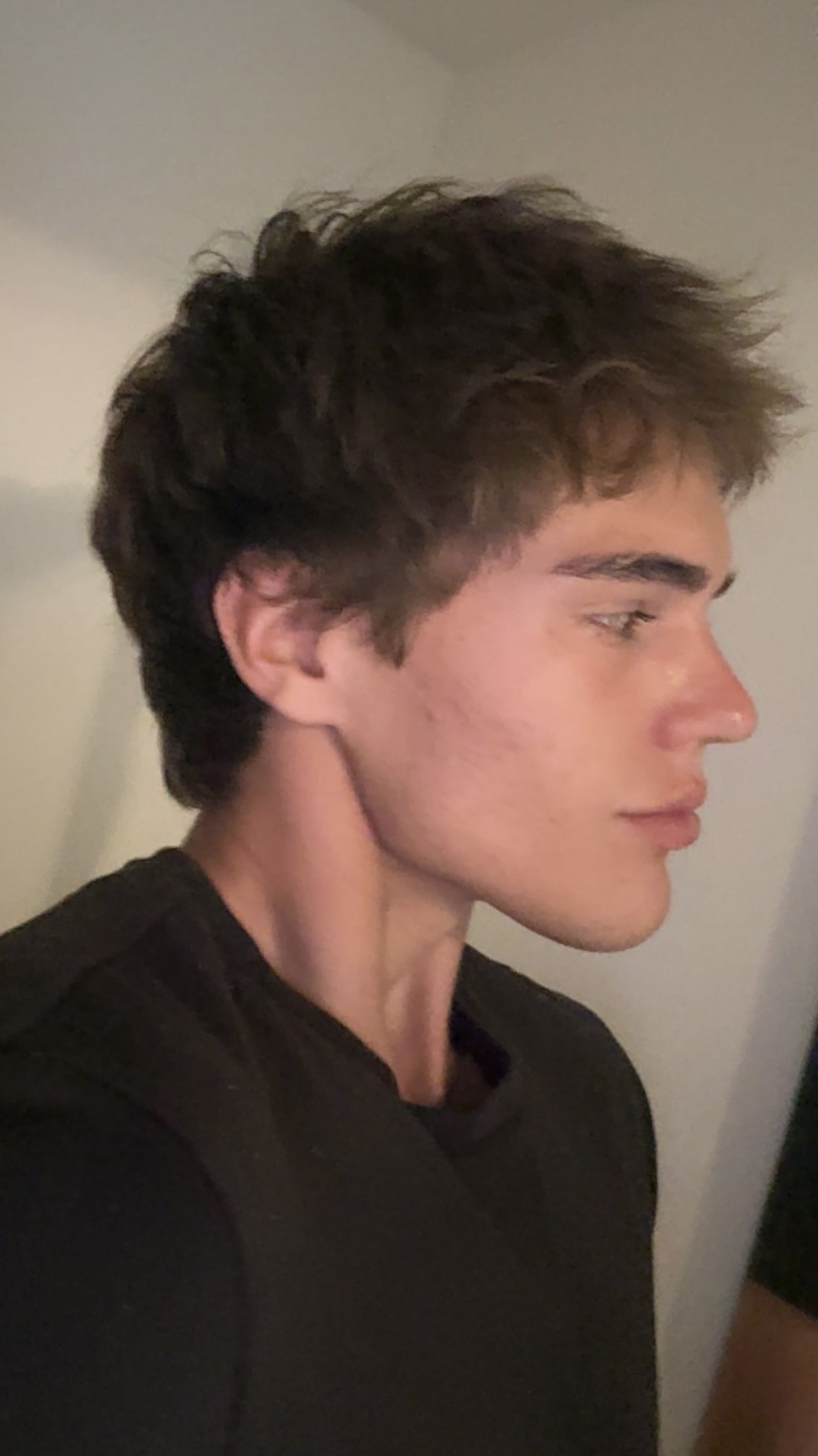 IMG 1795