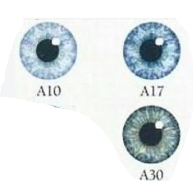 1788273937940