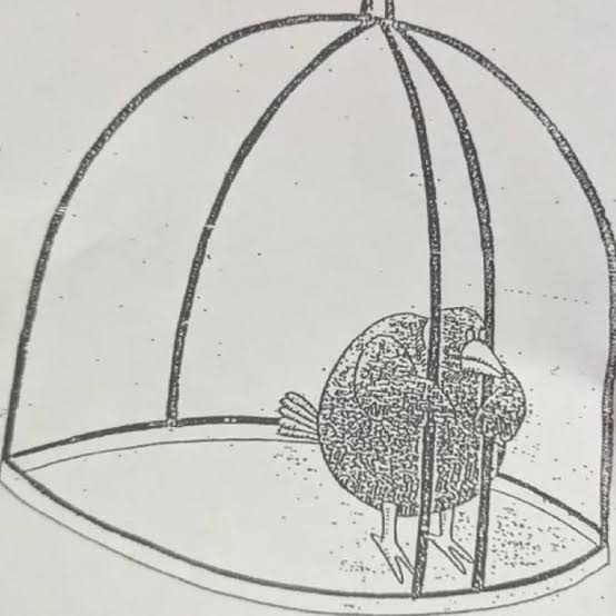 1577