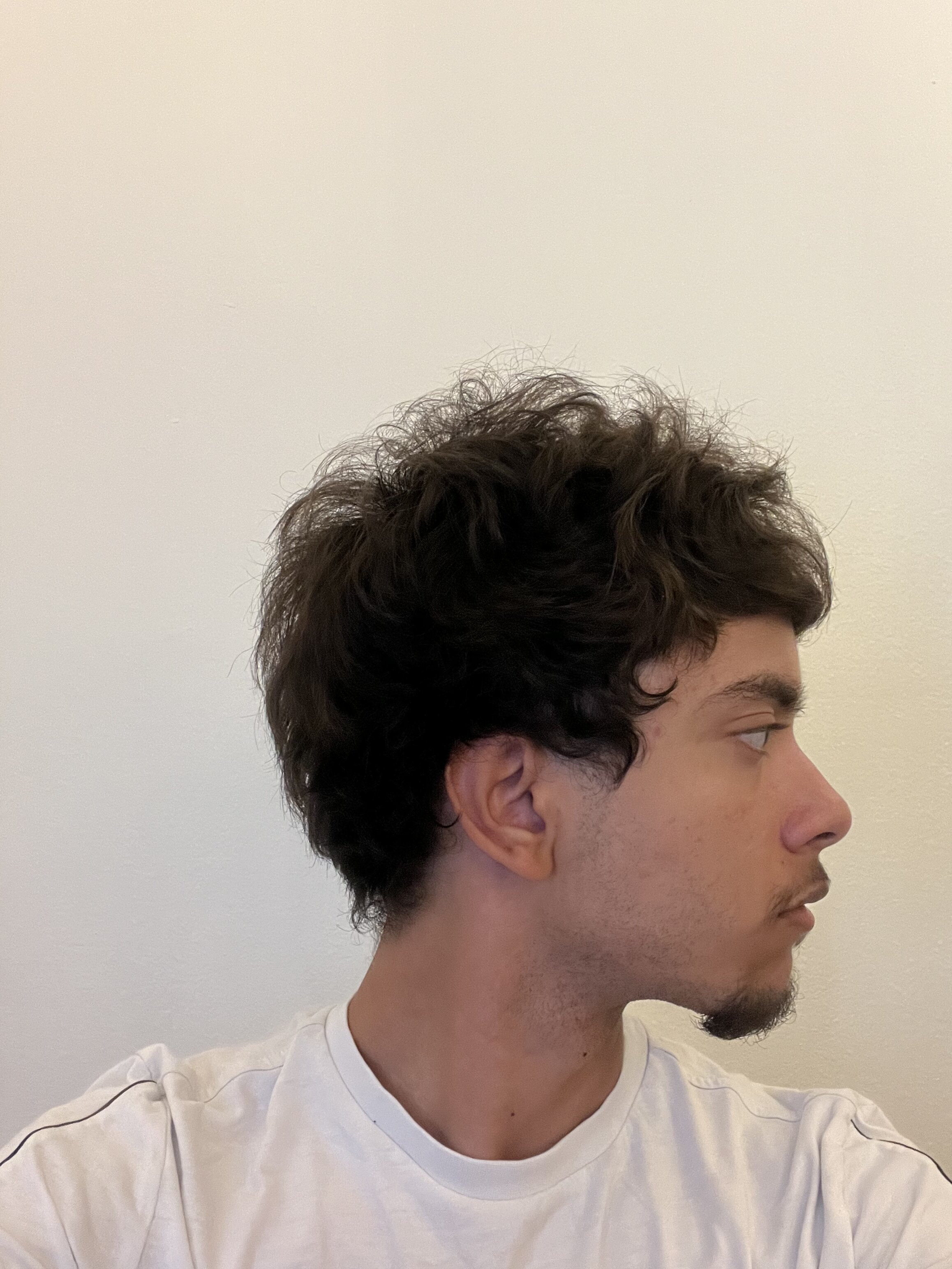 IMG 2208