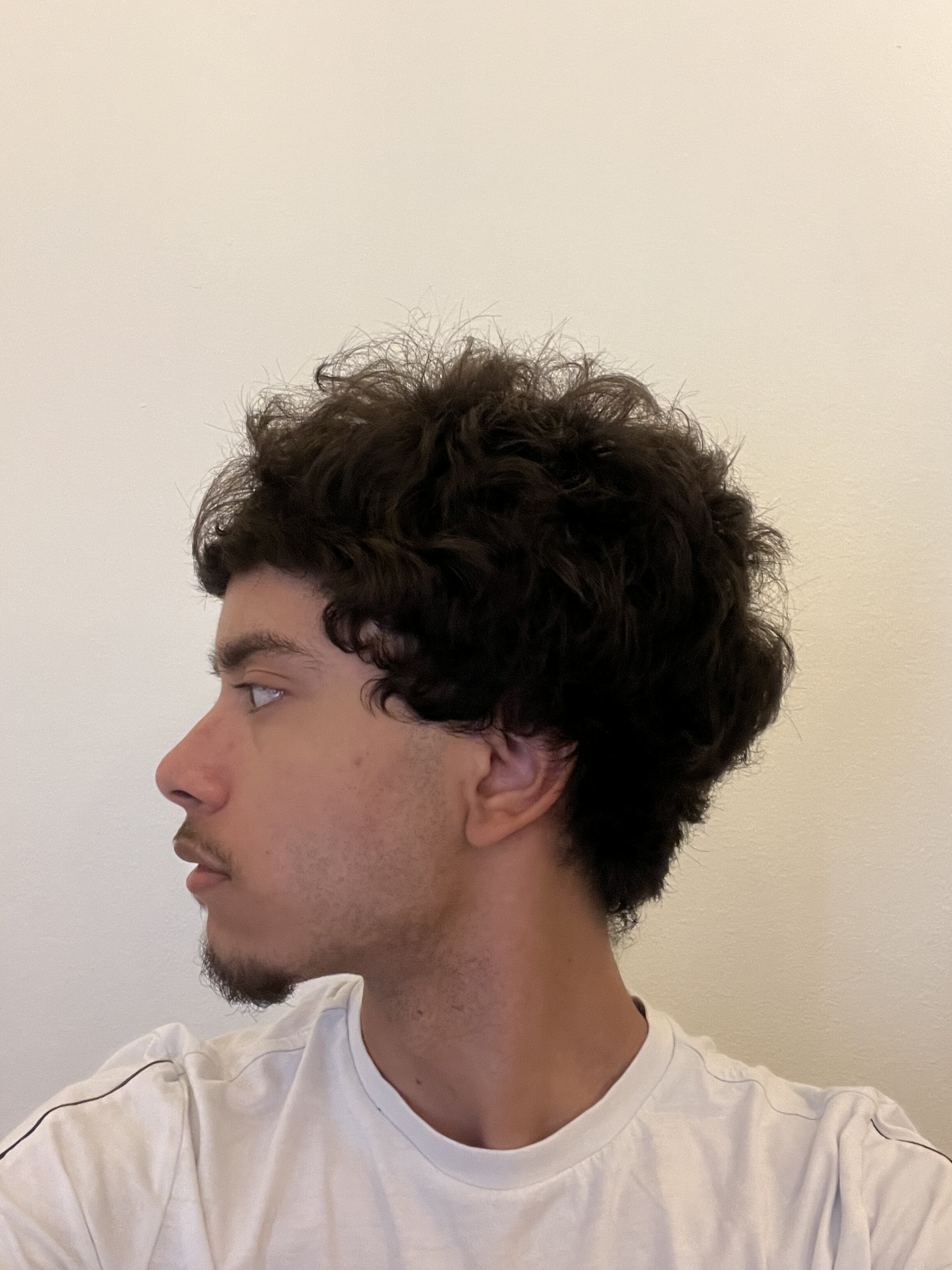 IMG 2207