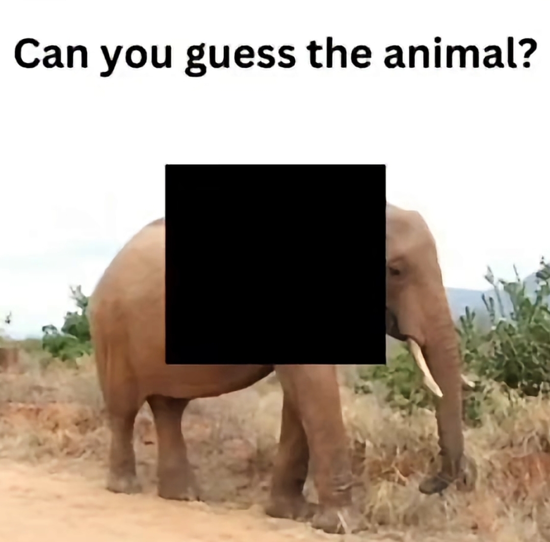 1000111121