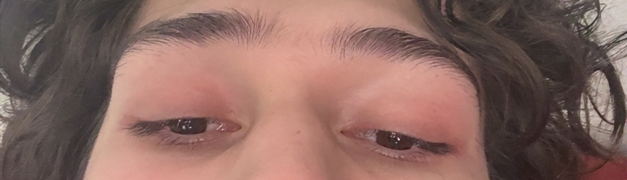 IMG 2939