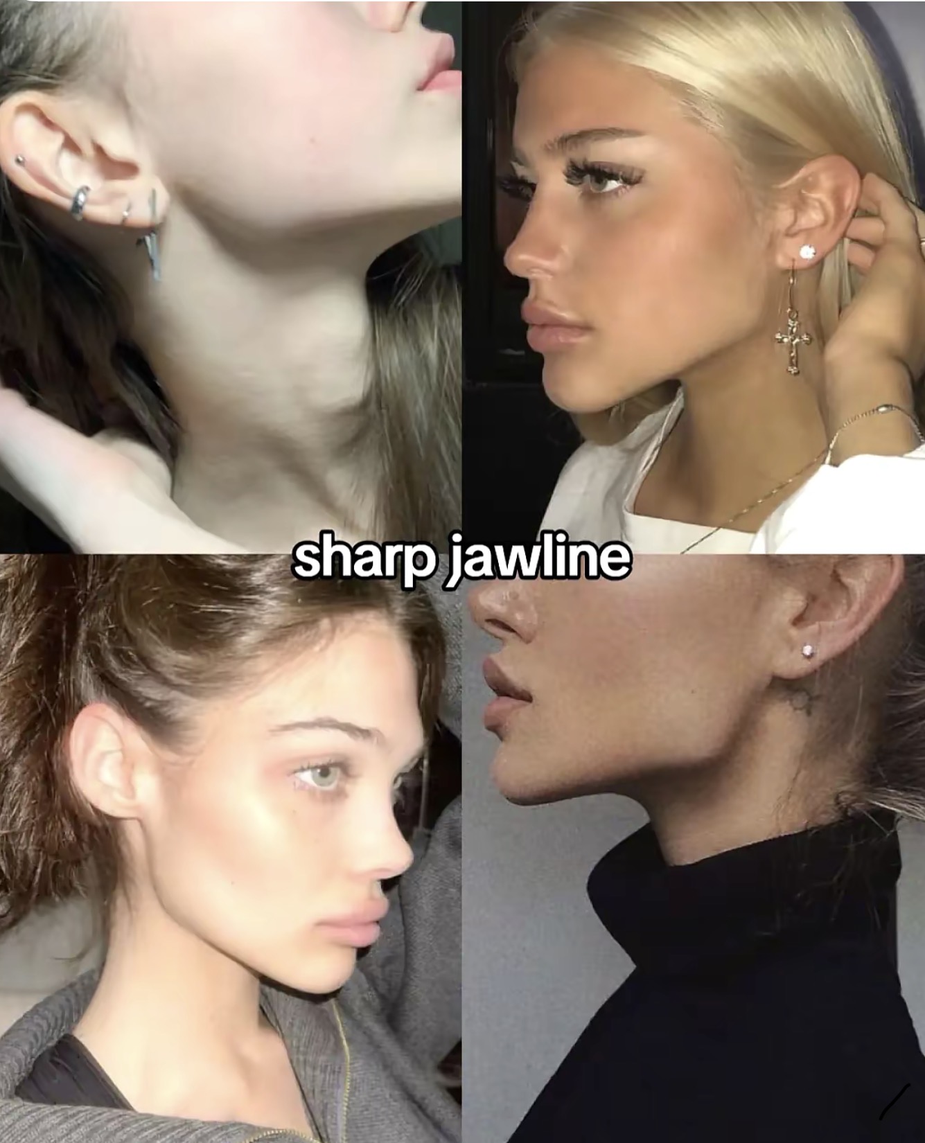 IMG 1380
