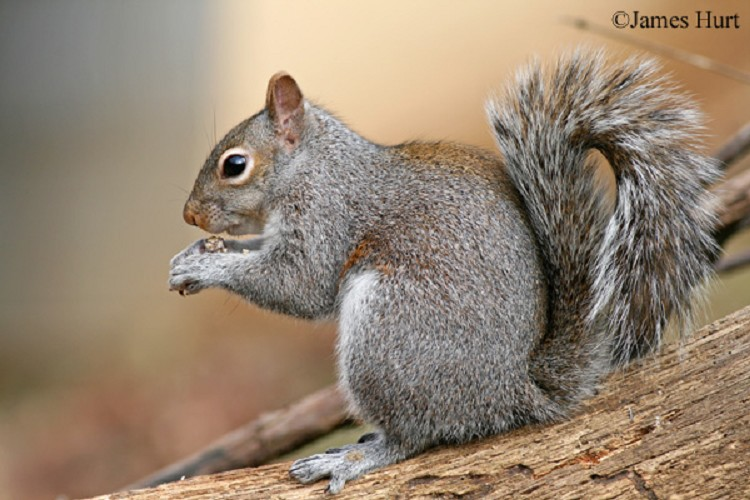 1788385162746