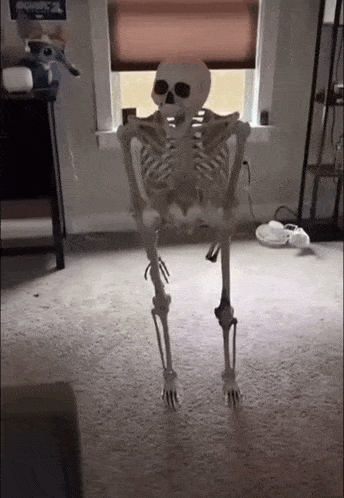Skeleton