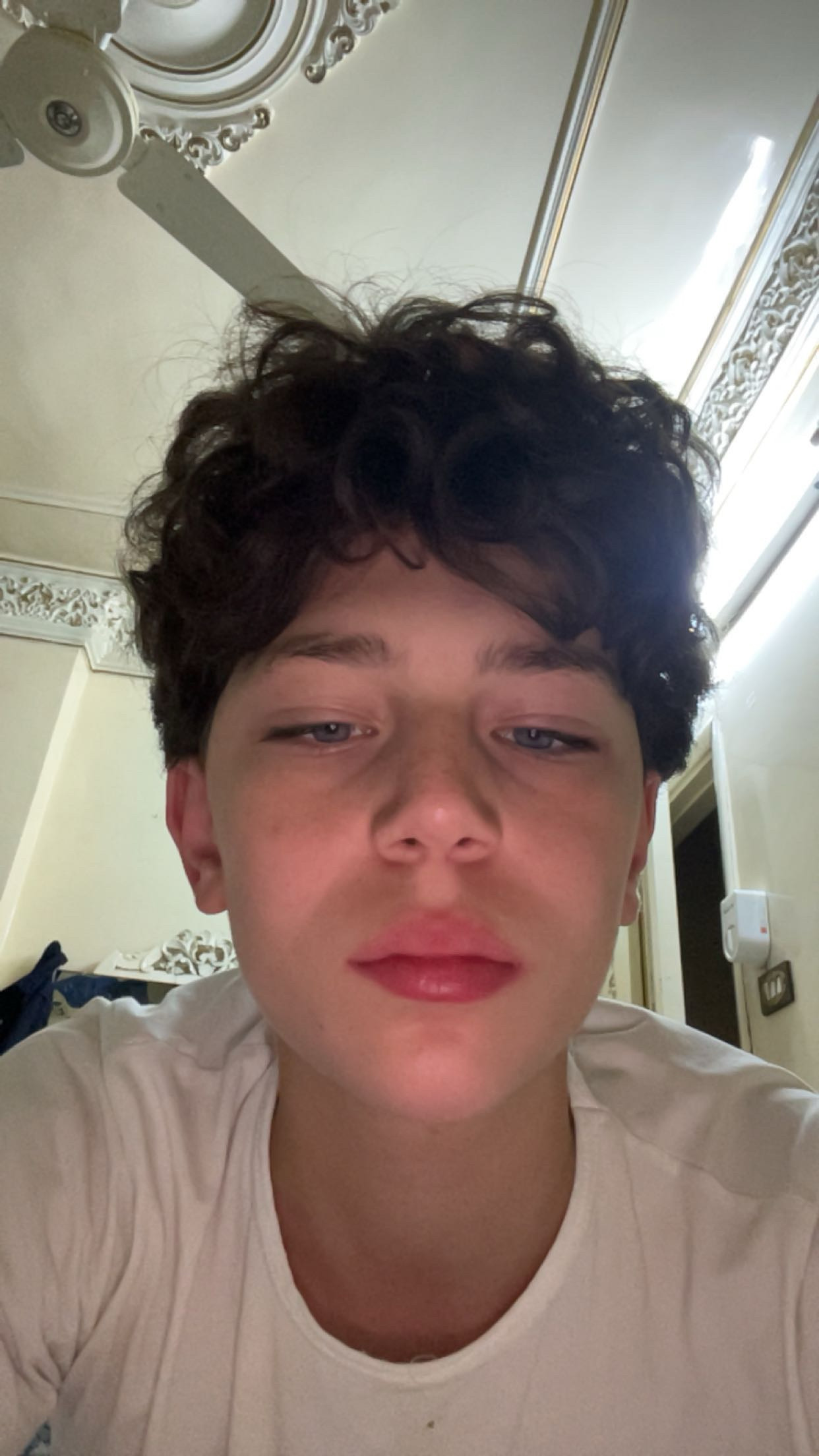 IMG 0784