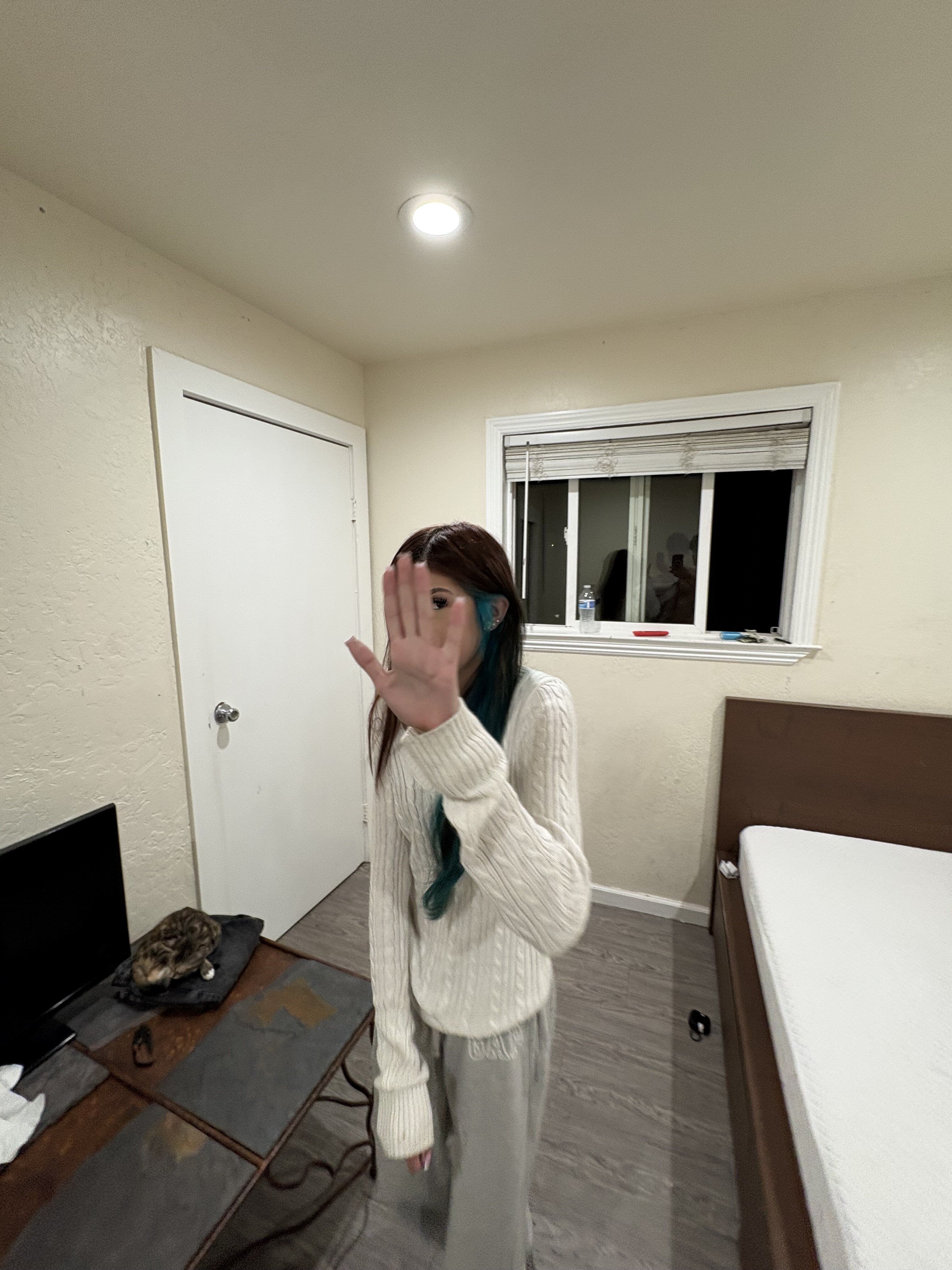 IMG 0037