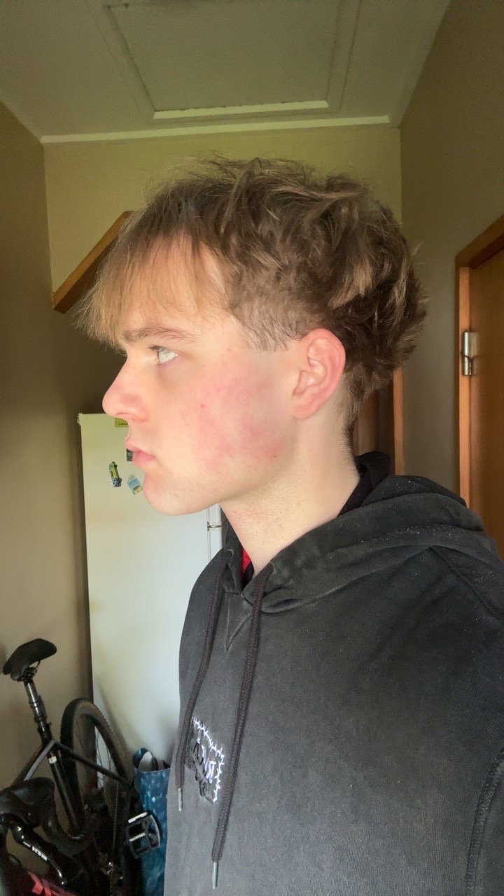 IMG 0390