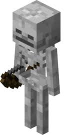 1651