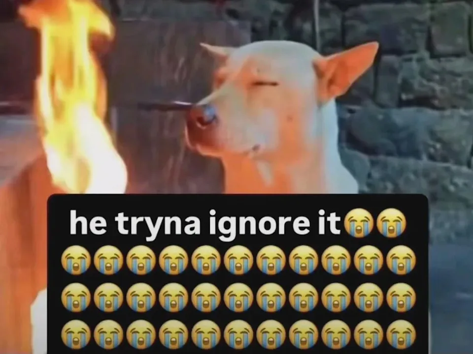 1000069288