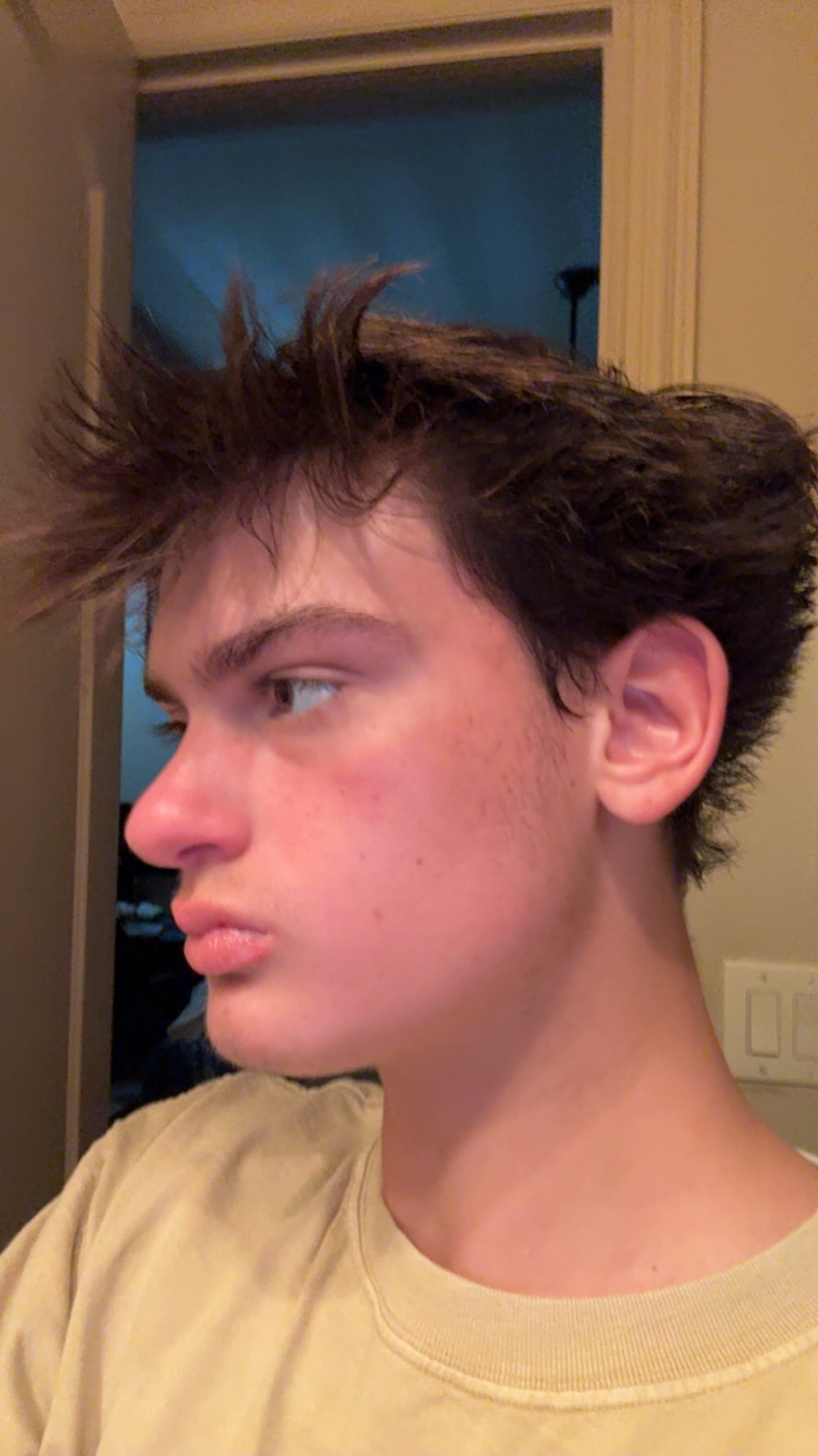 IMG 3249