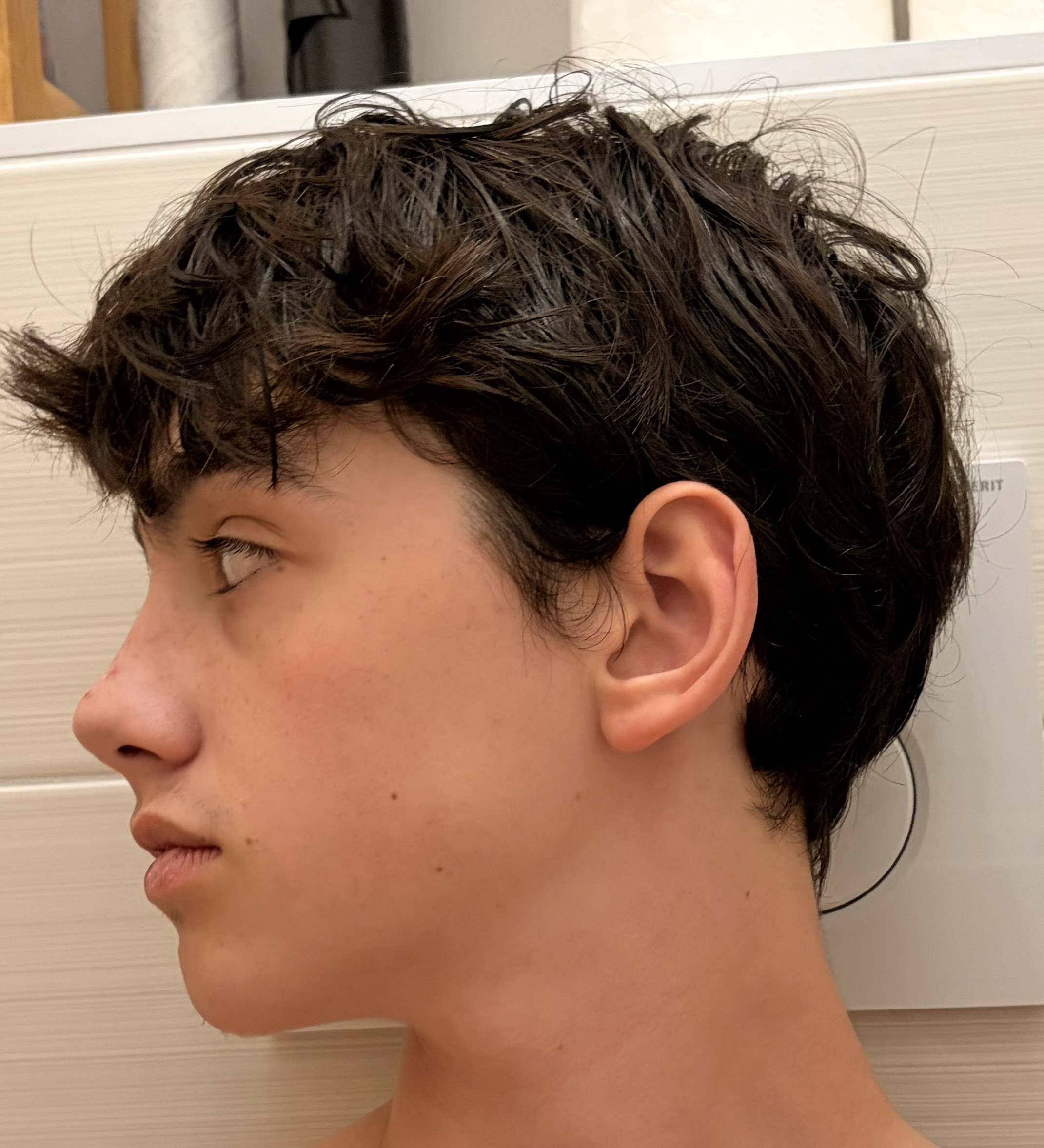 IMG 0818