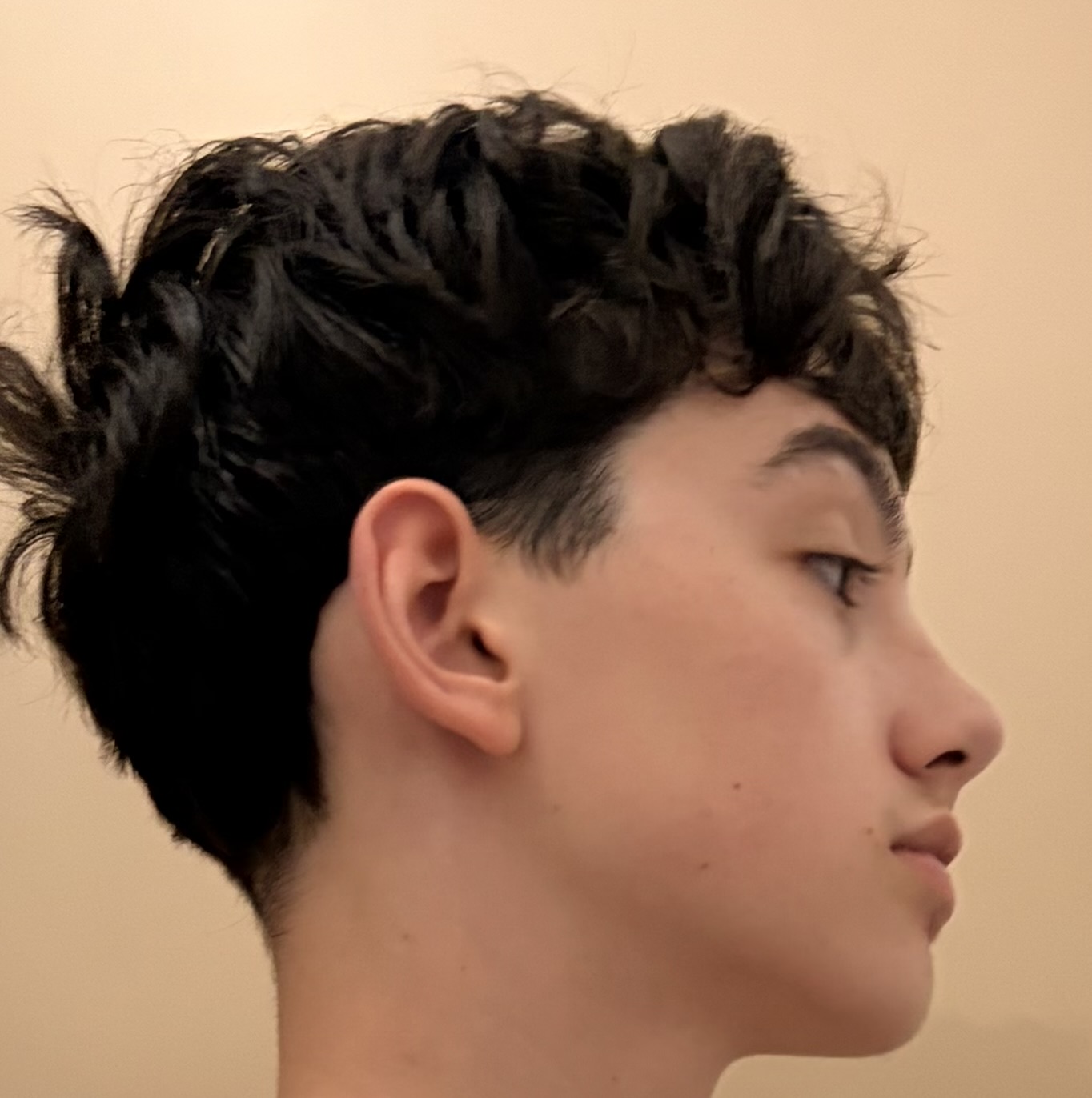 IMG 0431