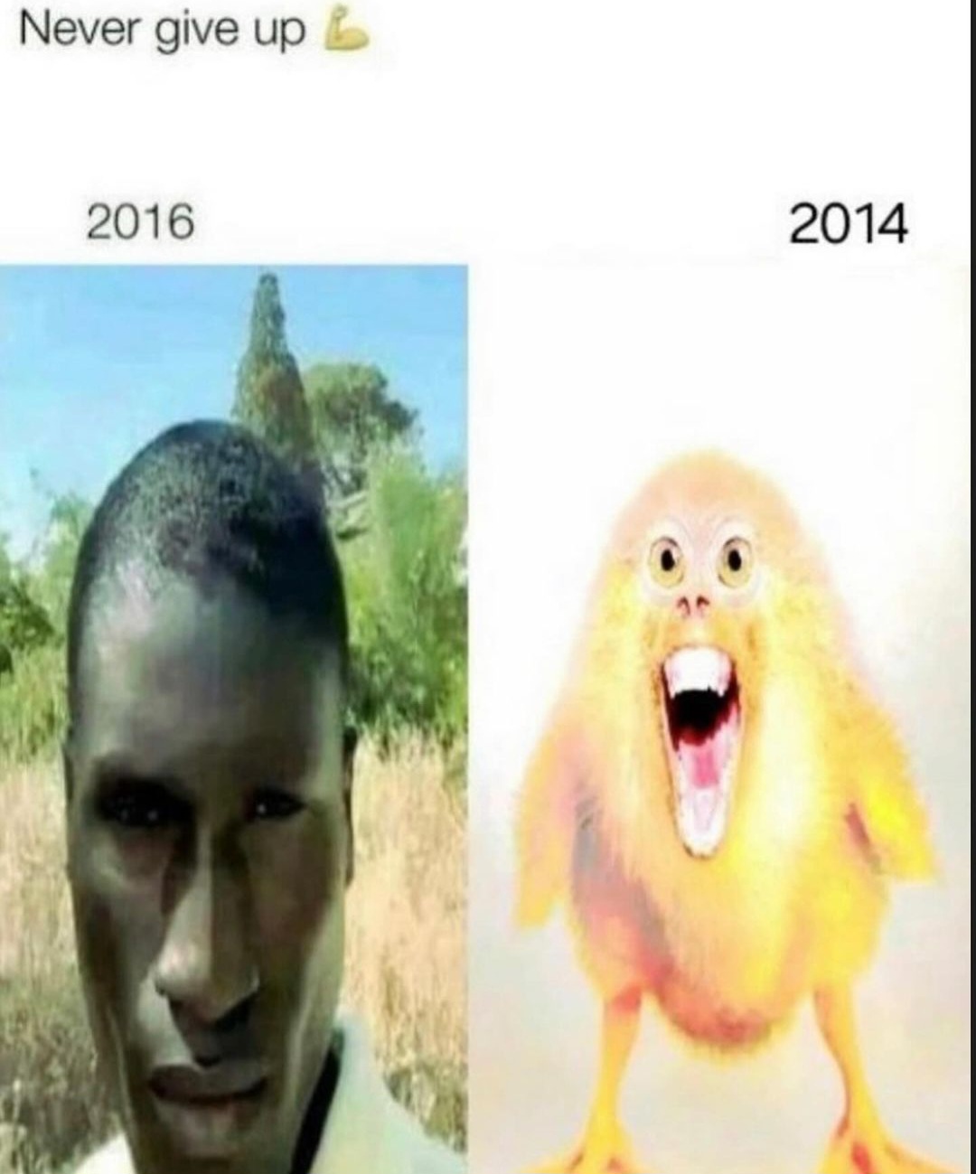 1000011904