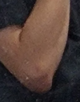 1000009361